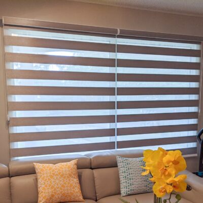 zebra blinds