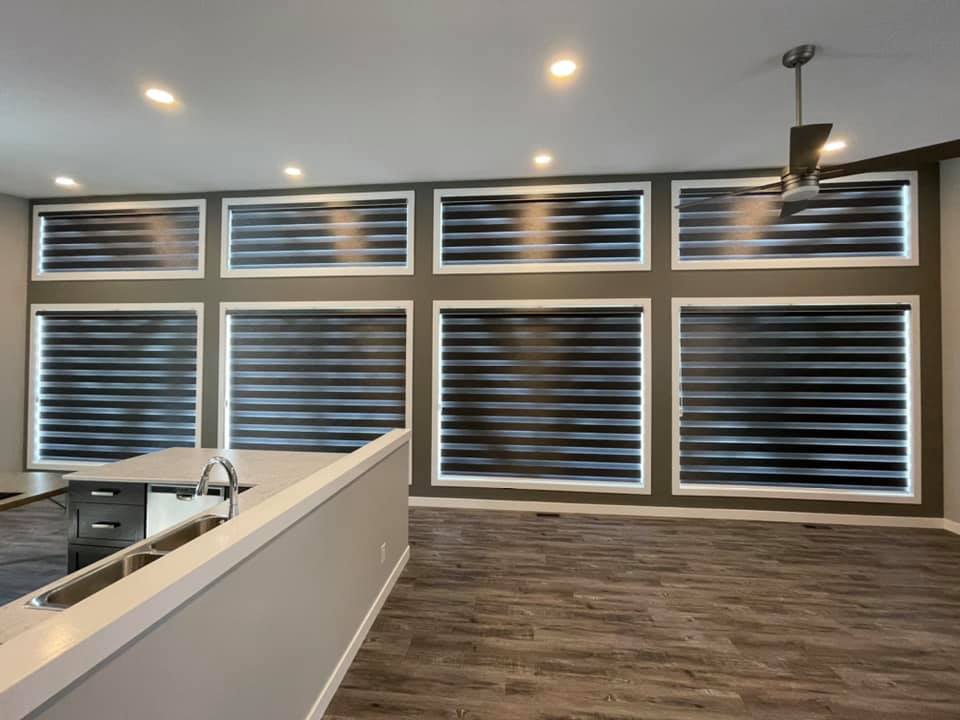 zebra blinds