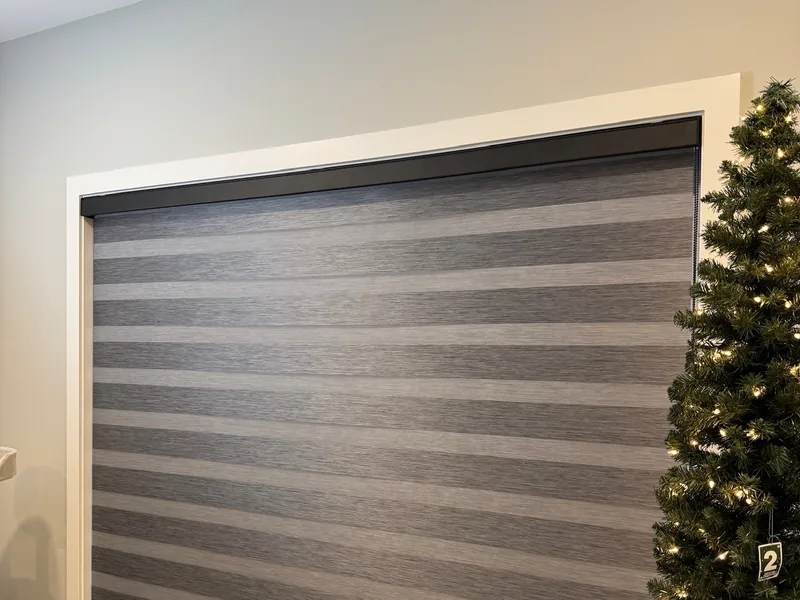 Zebra blinds bedroom