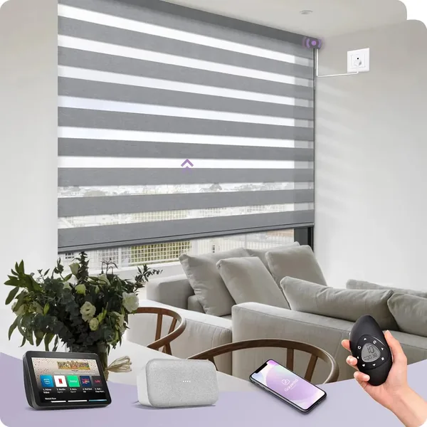 Zebra Blinds Calgary